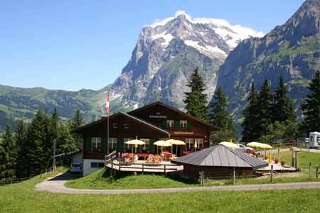 бакалавриат в Швейцарии