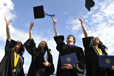 обучение и карьера в Новой Зеландии